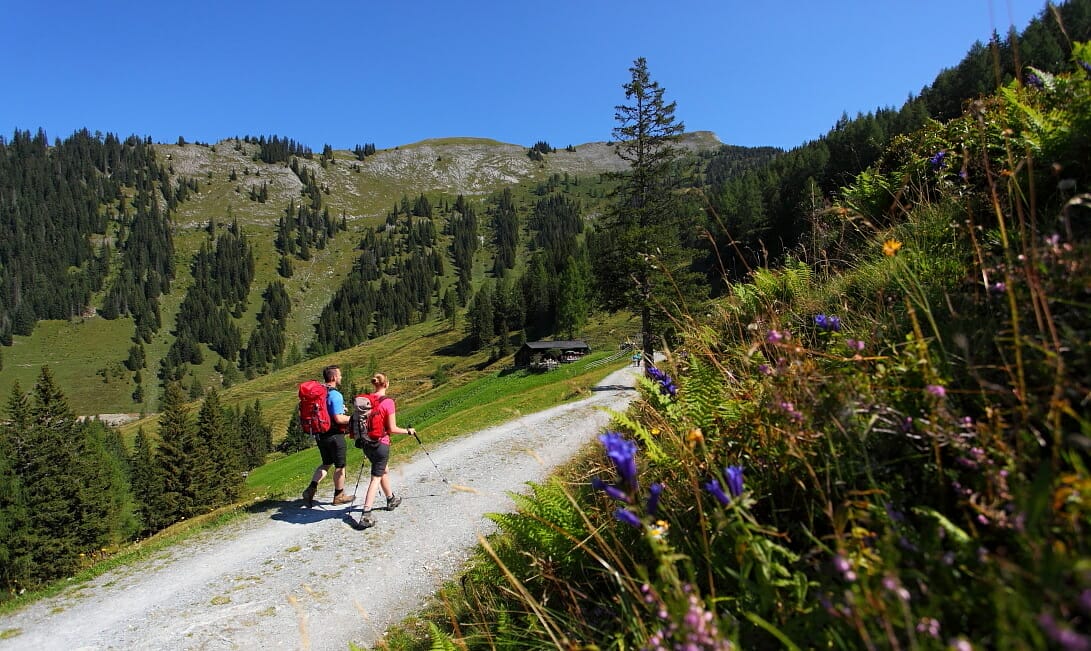 Salzburg S Almenweg Long Distance Trail With 31 Stages Through The