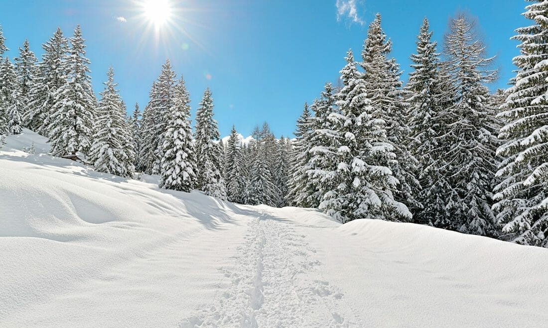 a road covered with snow in a snowy forest